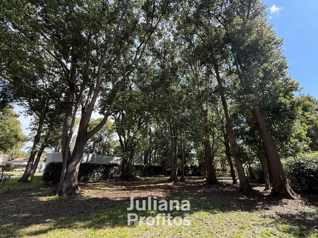 Terreno en Venta