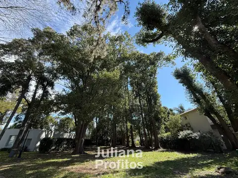 Terreno en Venta 20  mts Frente