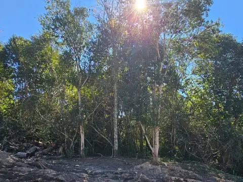 La Florita
