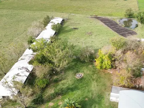 Vendo Lote de 1 Ha Con Casas y Galpón en San Justo, Entre Ríos.