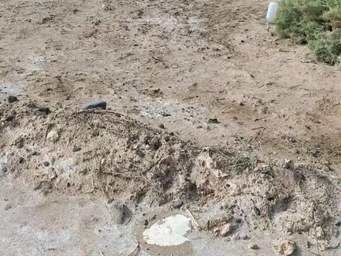 Terreno en Venta en Centenario, Confluencia