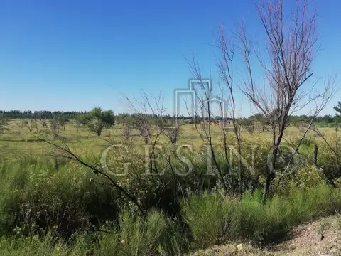 Terreno en Venta en General Alvear, USD 5.000