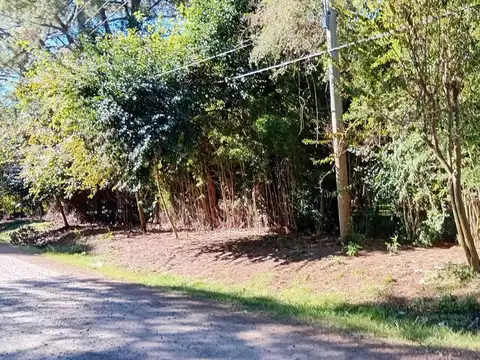 Venta terreno, 2812 M2 a 3 cuadras de R9 Zarate  