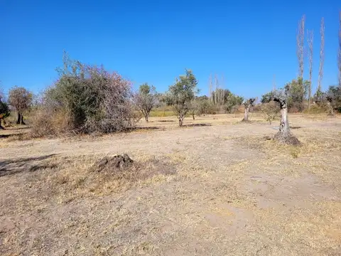 VENTA TERRENO FINANCIADO (4.5 HECTAREAS) MAIPU