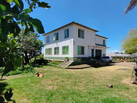 miguel de Montaigne 1300