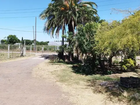 miguel de Montaigne 1300