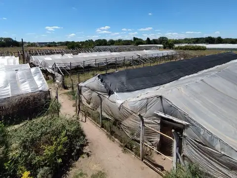 Terreno en Venta de 20000,0 m2