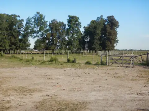 Campo en Venta de 2.187  ha