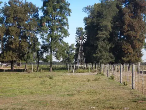 Campo en Venta Ganadero