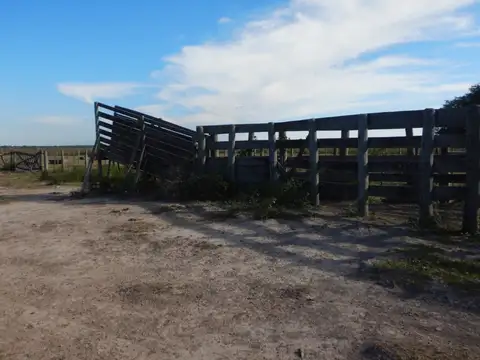 2187 has ganaderas cría y recría - San Bernardo - 9 de Julio - Santa Fe