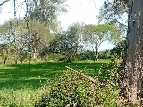 Zona de Quintas Quinta 229 200