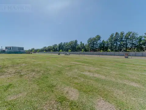 CARPINCHOS - NORDELTA