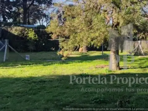 Del Ombu 1979 , Piso No definido