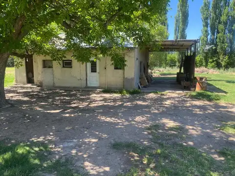 Terreno en Venta en Cinco Saltos, USD 83.000