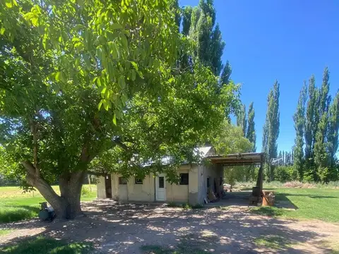 Terreno en Venta en Cinco Saltos, USD 83.000