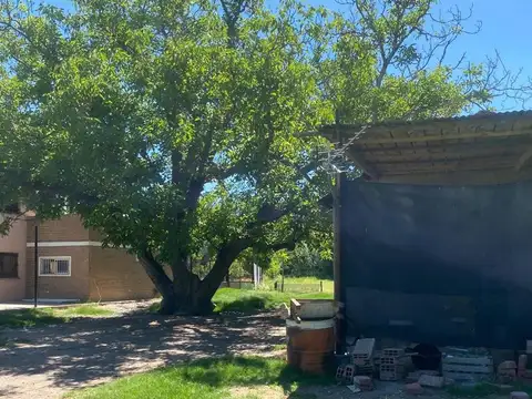 Venta de fracción de chacra – Cinco Saltos