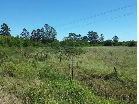 Defensa Norte 1