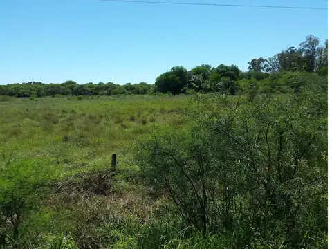 Defensa Norte 1
