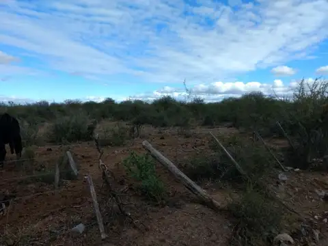 Ruta 20 1000