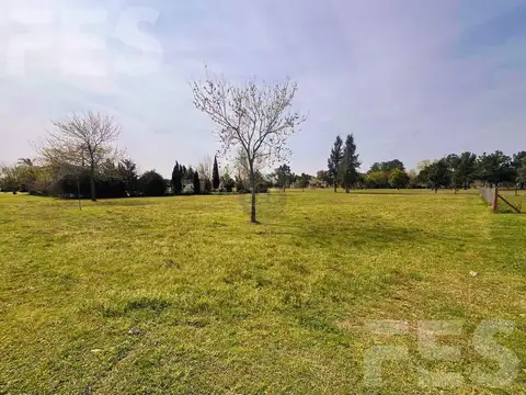 FINCAS DE SAN VICENTE GOLF