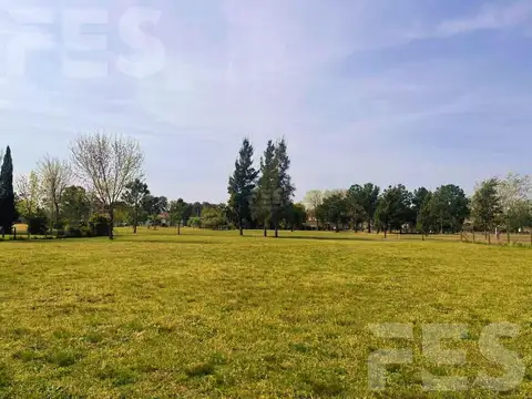 Terreno en Venta 40  mts Frente