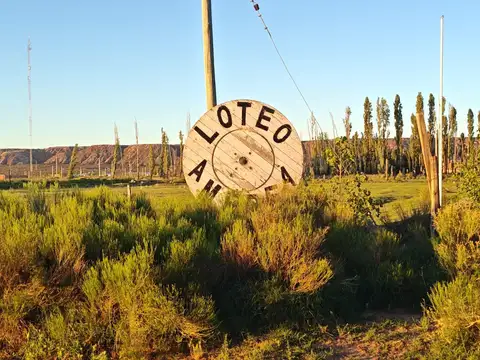 Venta de terreno en Barrio Amedea - Lote 19 - Plottier