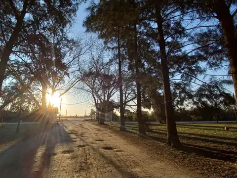 Lote terreno en el Rodeo - 20 x 50 - 307 y 50