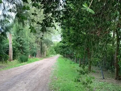 Terreno en Venta 50  mts Fondo