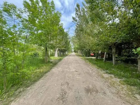 Terreno en Venta 20  mts Frente