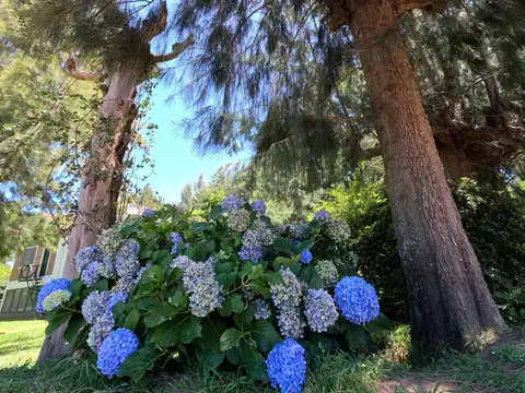 Muelle TIHANY, CANAL ARIAS