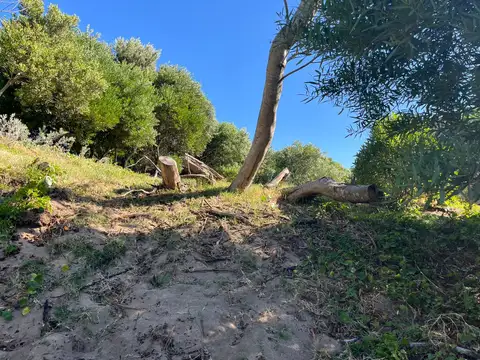 Terreno en Venta 20  mts Frente