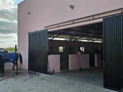 Open Door Lujan 100