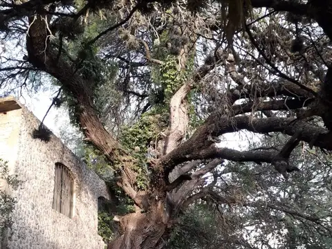 Casa en Venta en La Paz, USD 100.000