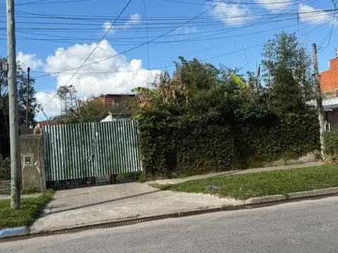 29 de Noviembre 2161