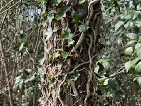 Terreno en Venta en Castilla, USD 20.000