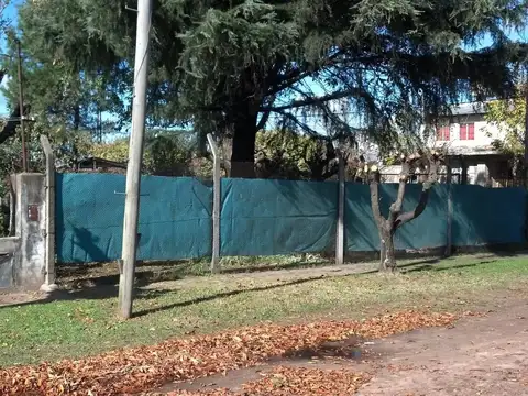 Cacique Coliqueo 900