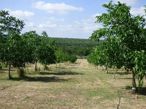 Campo en Venta Chacra