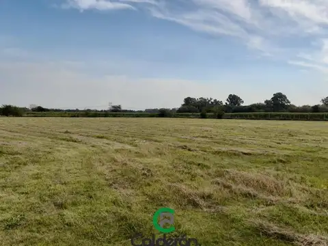 Terreno en Venta de 2500,0 m2