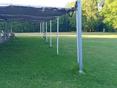 Mouriño 100