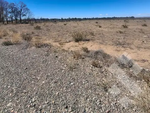 En Venta | 5 Hectareas Frente a Ruta 22 | Arroyito