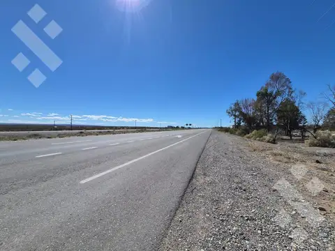 En Venta | 5 Hectareas Frente a Ruta 22 | Arroyito