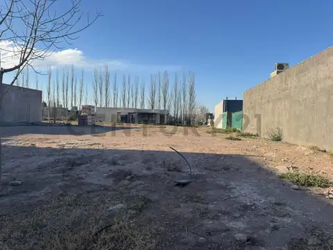 Terreno en Venta de 380,0 m2