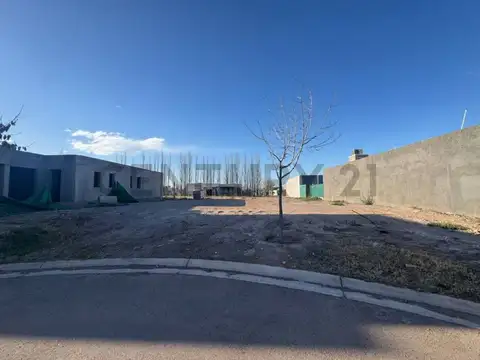 Bario La Luisa - Avenida Malabia , Piso 0