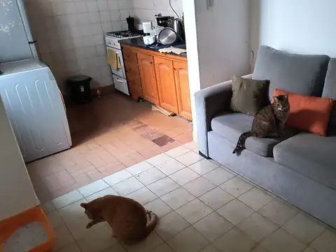 Depto Tipo Casa en Alquiler de 2 ambientes