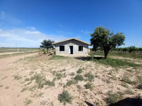 Los Amigos