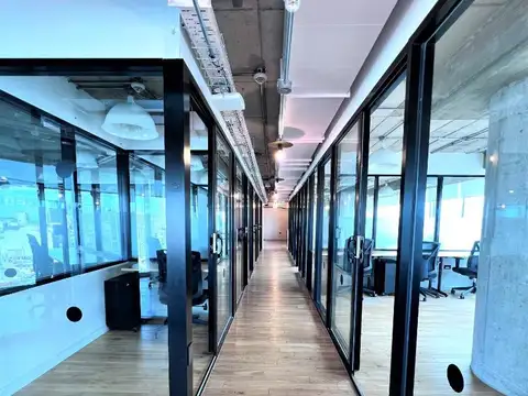 Oficinas triple A, amobladas y equipadas!