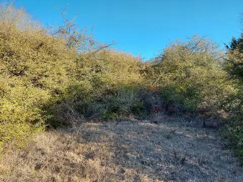 PADRE CASTELLINI Cód (2121)