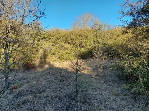 PADRE CASTELLINI Cód (2121)