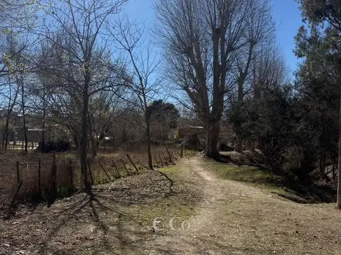 San Miguel, Tanti