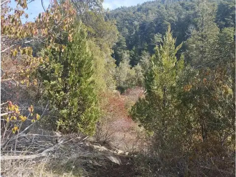 Terreno en Venta 100  mts Fondo